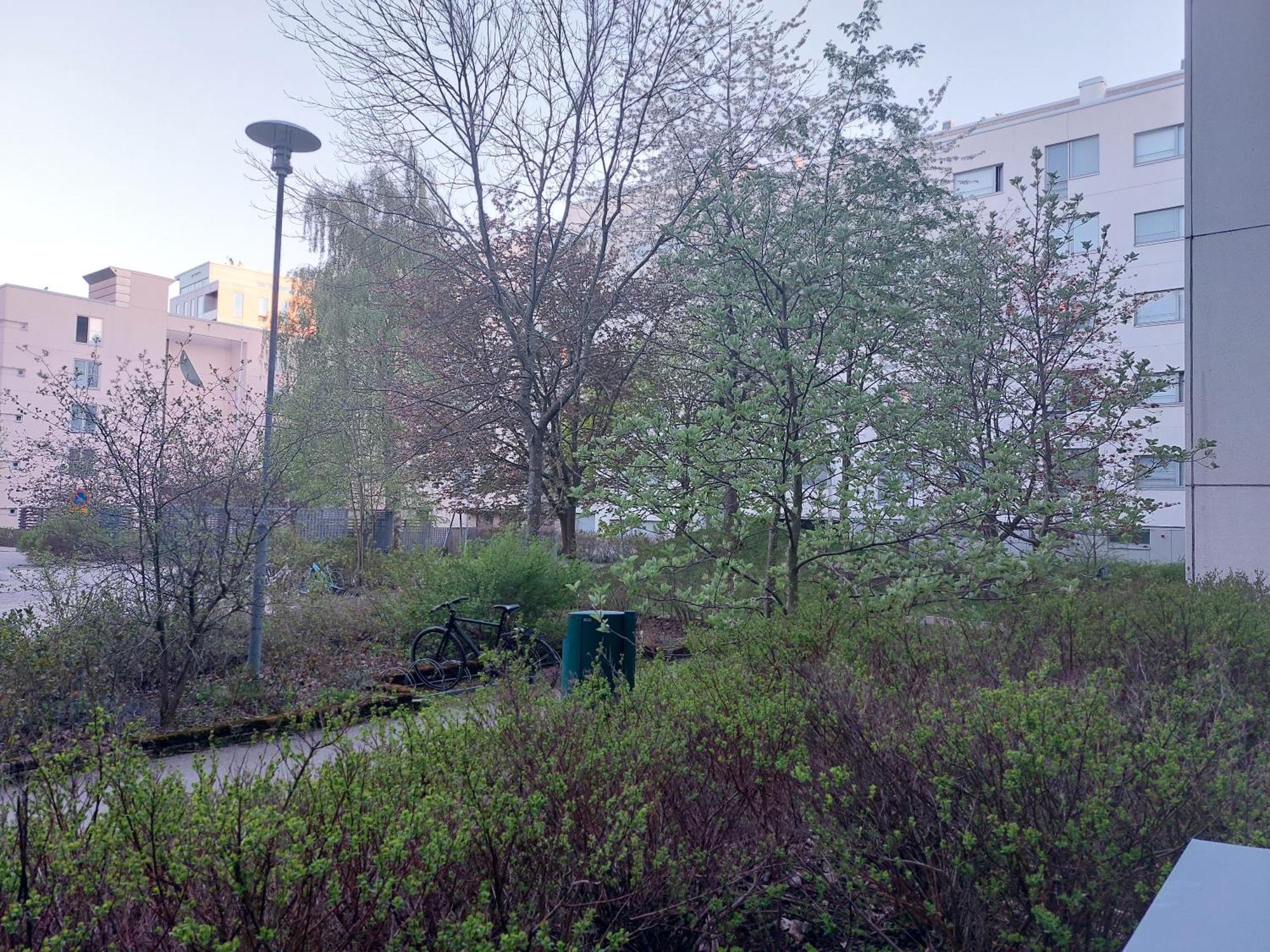 Saunallinen Kolmio Jaetkaesaaressa Helsinki Exterior photo